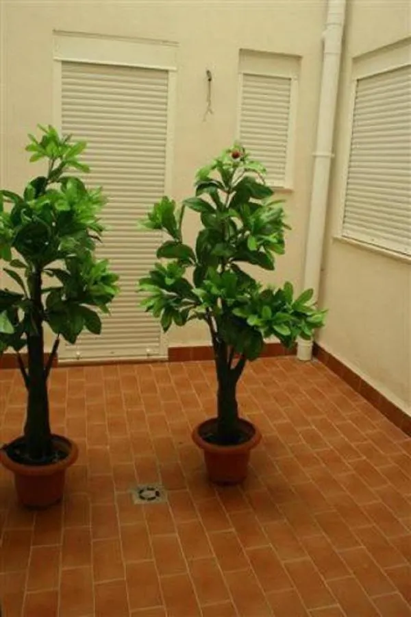 Apartamento Columbretes Les Cases d'Alcanar Apartment